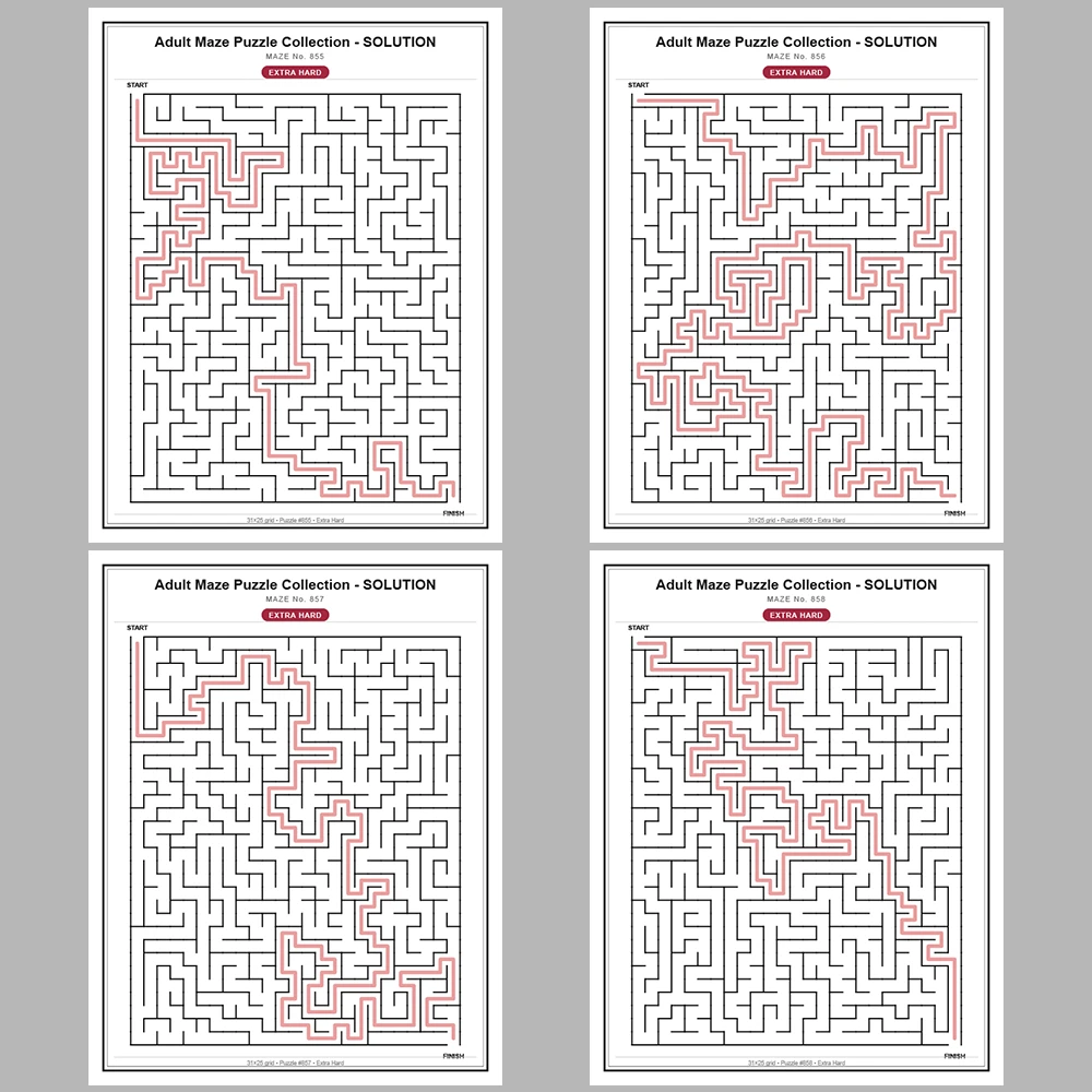 Maze Puzzle Extra Hard 50 Pages of Puzzles – Vol. 18