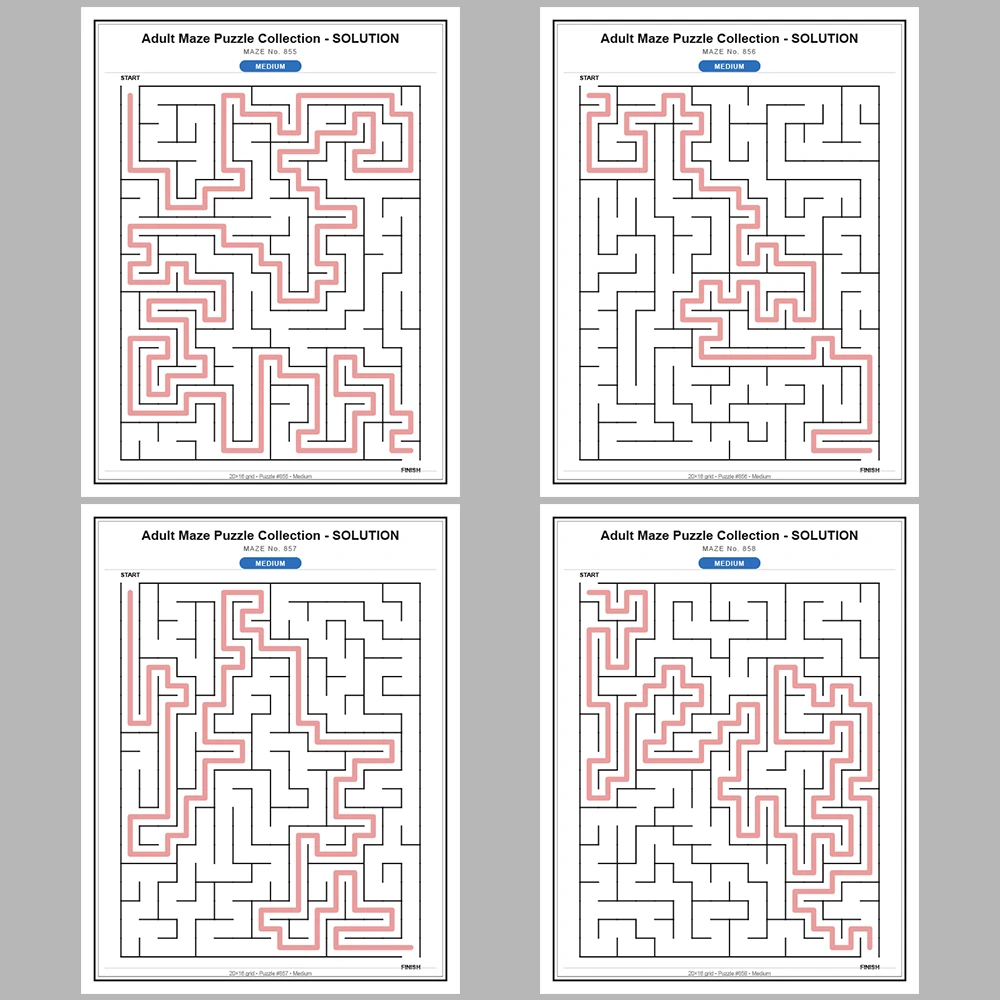 Maze Puzzle Medium 50 Pages of Puzzles – Vol. 18