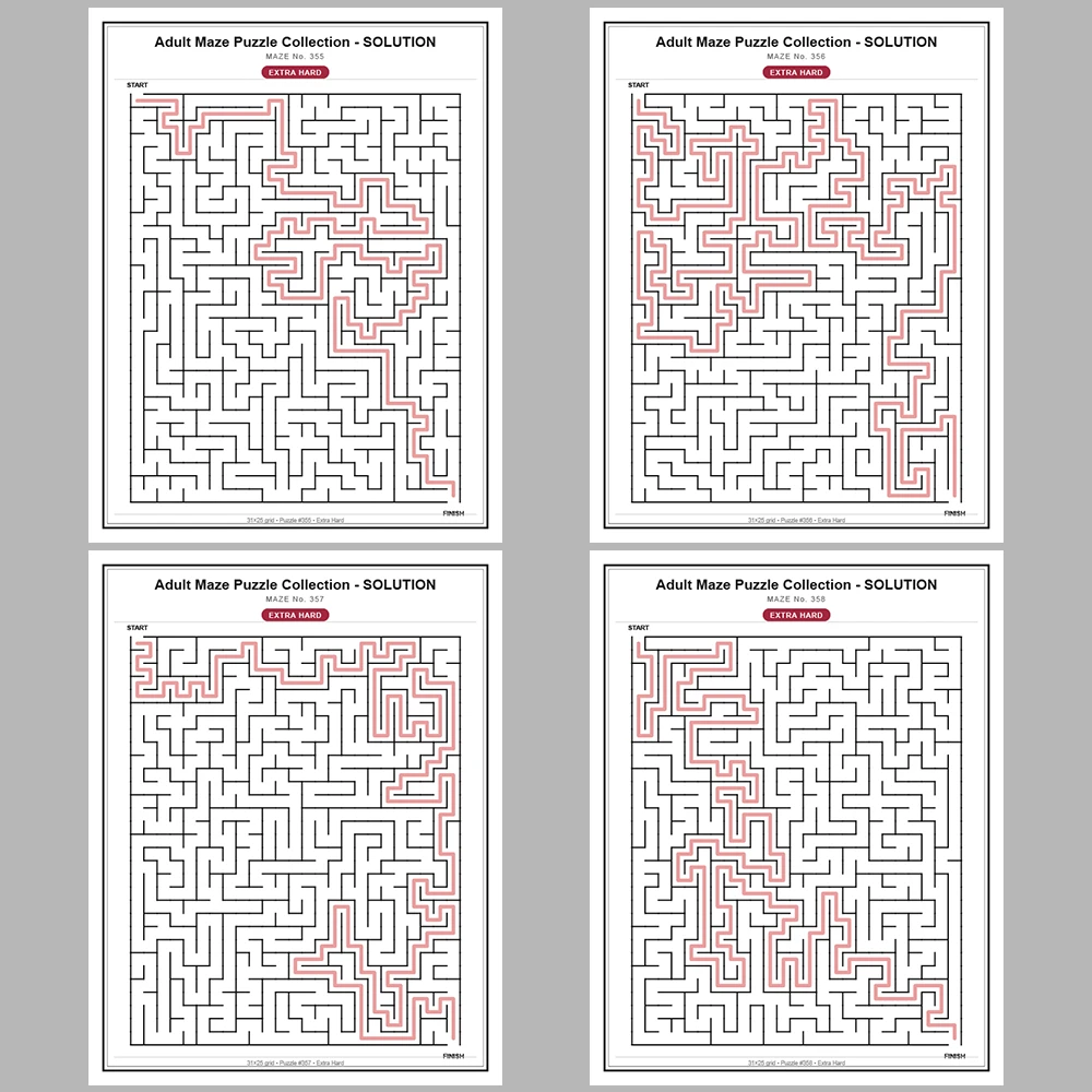 Maze Puzzle Extra Hard 50 Pages of Puzzles – Vol. 8