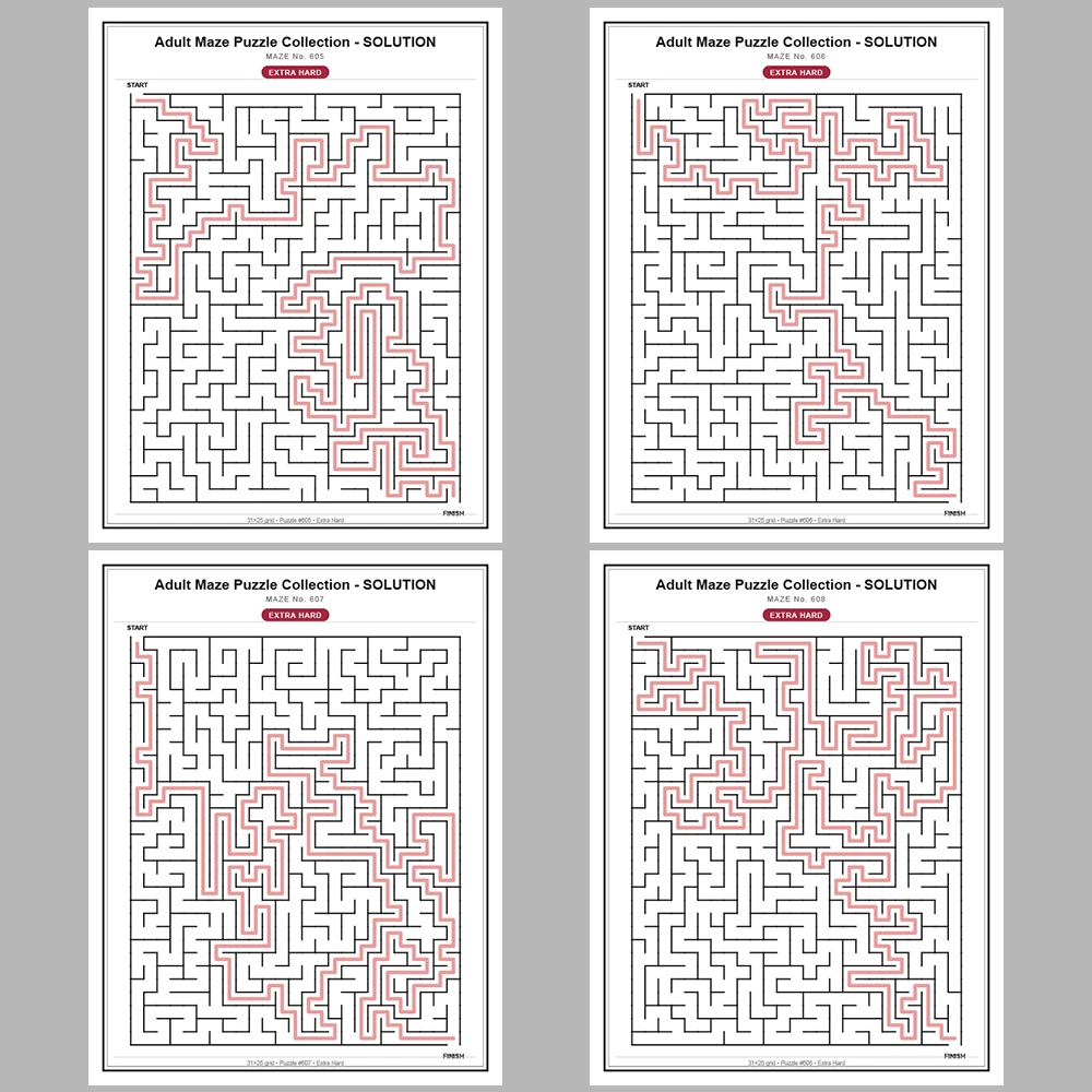 Maze Puzzle Extra Hard 50 Pages of Puzzles – Vol. 13