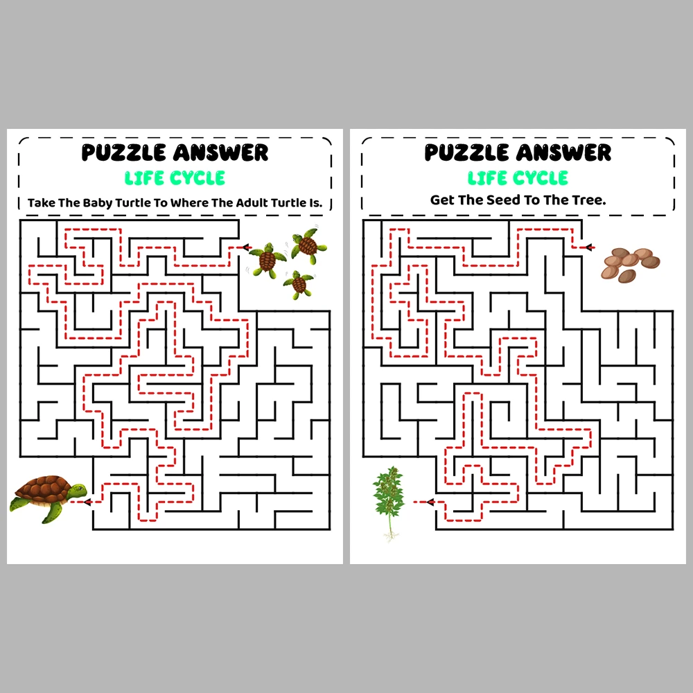 Life Cycle Kids Maze Puzzle 10 Pages of Puzzles