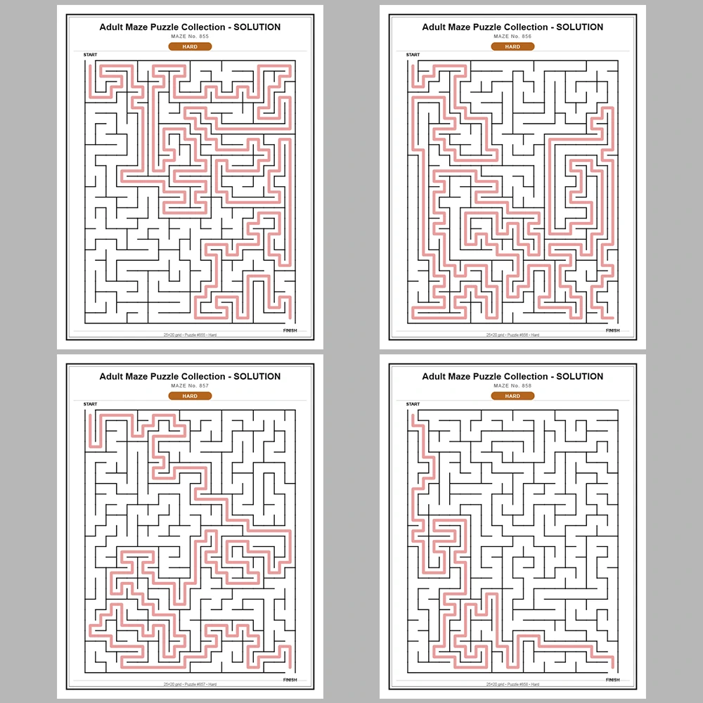 Maze Puzzle Hard 50 Pages of Puzzles – Vol. 18
