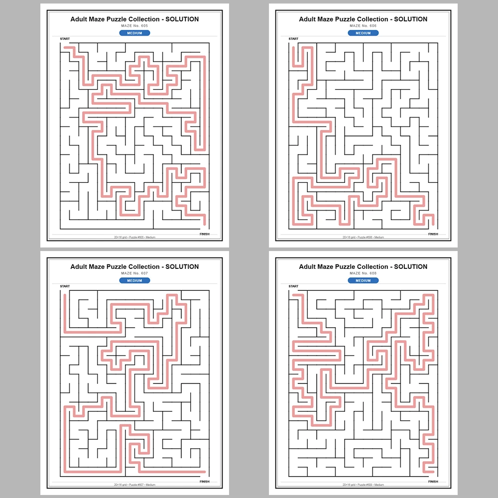 Maze Puzzle Medium 50 Pages of Puzzles – Vol. 13