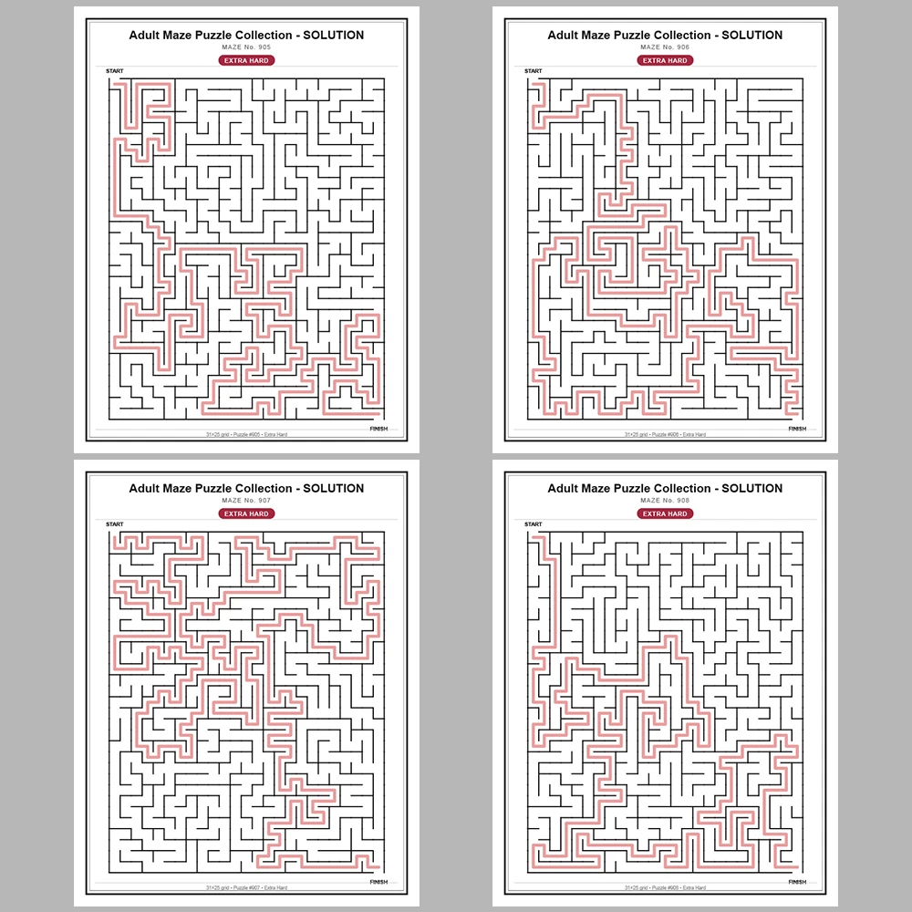 Maze Puzzle Extra Hard 50 Pages of Puzzles – Vol. 19