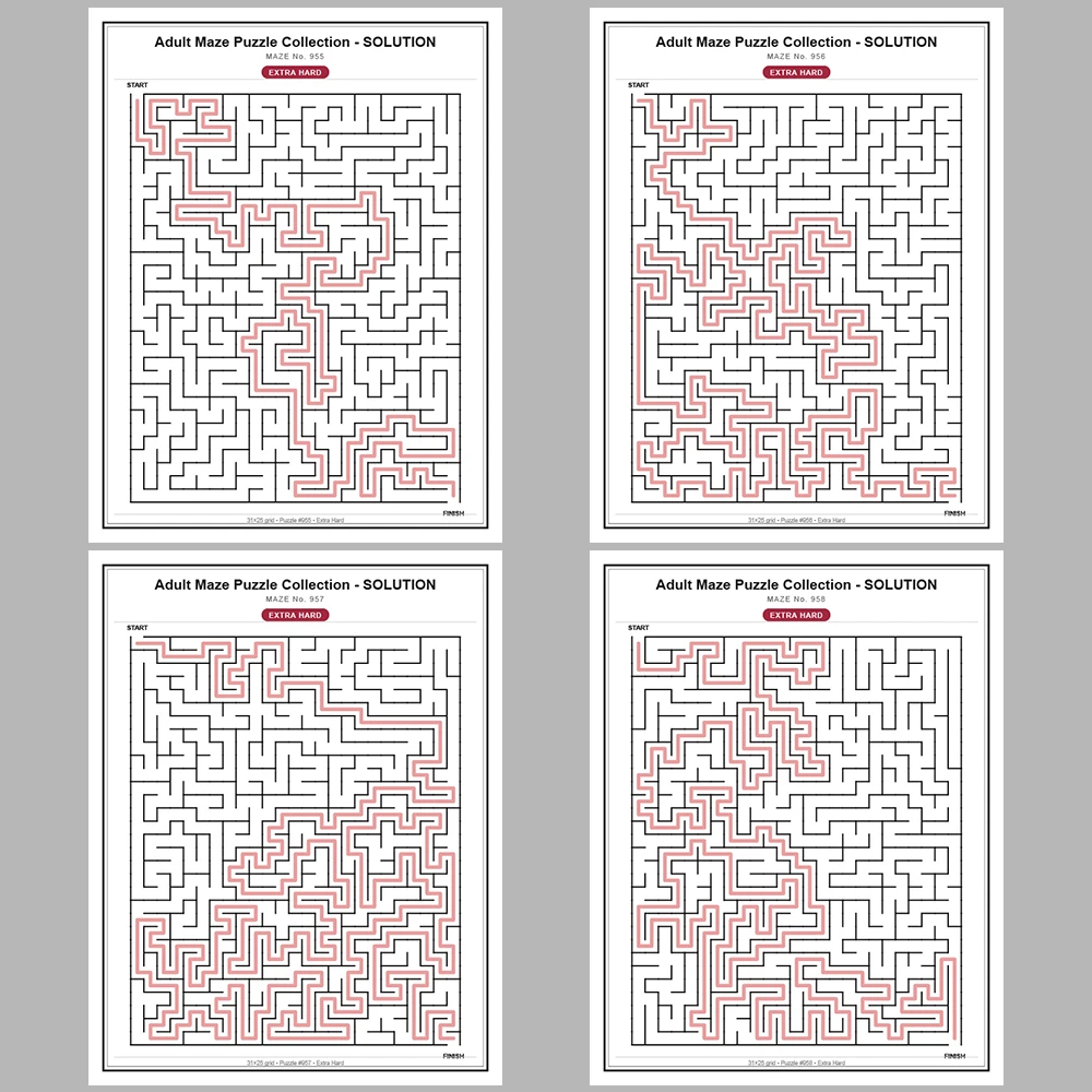 Maze Puzzle Extra Hard 50 Pages of Puzzles – Vol. 20