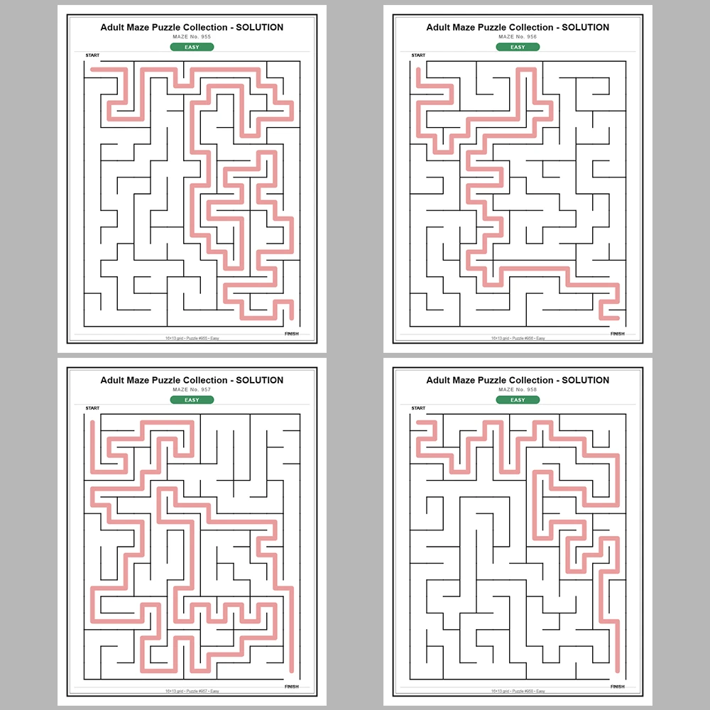 Maze Puzzle Easy 50 Pages of Puzzles – Vol. 20
