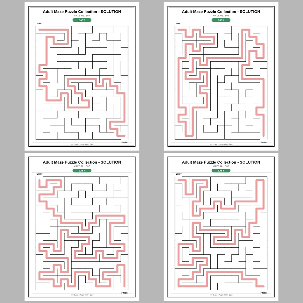 Maze Puzzle Easy 50 Pages of Puzzles – Vol. 11
