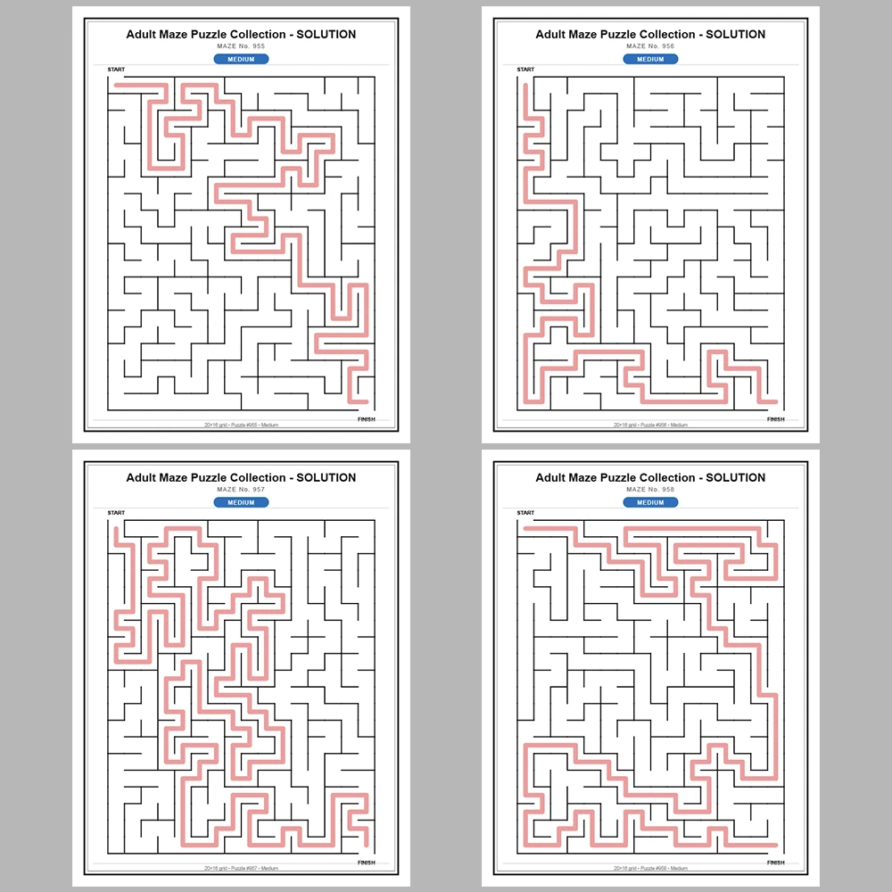 Maze Puzzle Medium 50 Pages of Puzzles – Vol. 20