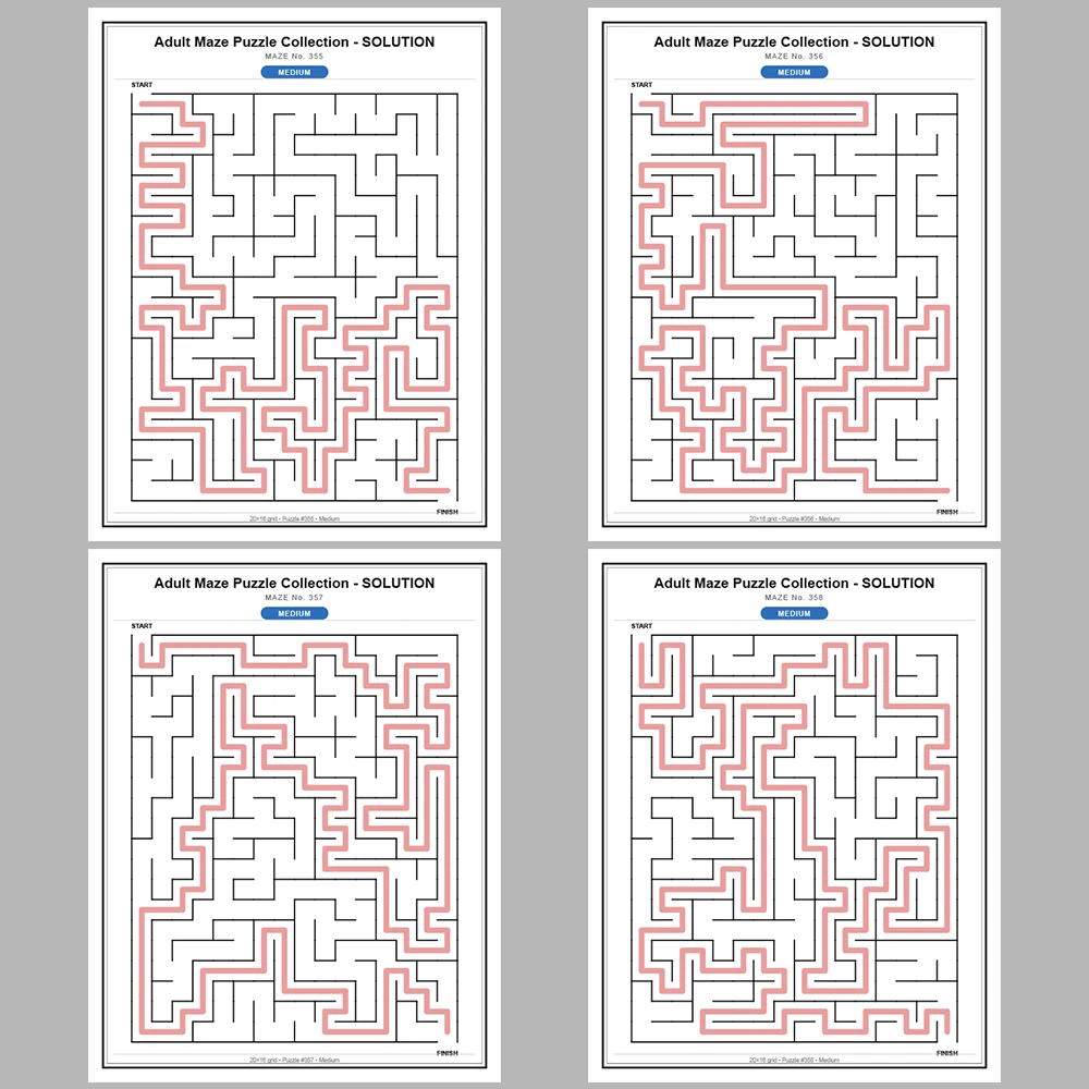 Maze Puzzle Medium 50 Pages of Puzzles – Vol. 8