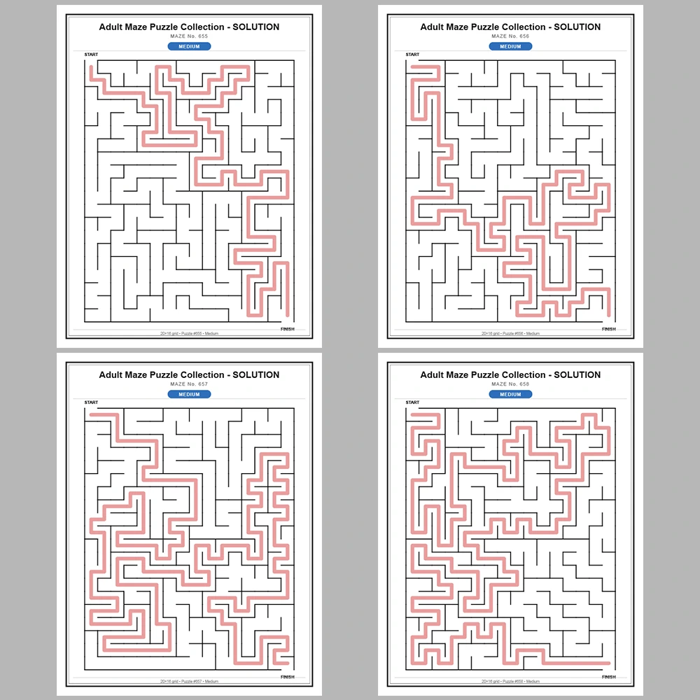 Maze Puzzle Medium 50 Pages of Puzzles – Vol. 14