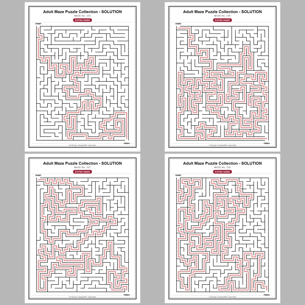 Maze Puzzle Extra Hard 50 Pages of Puzzles – Vol. 6