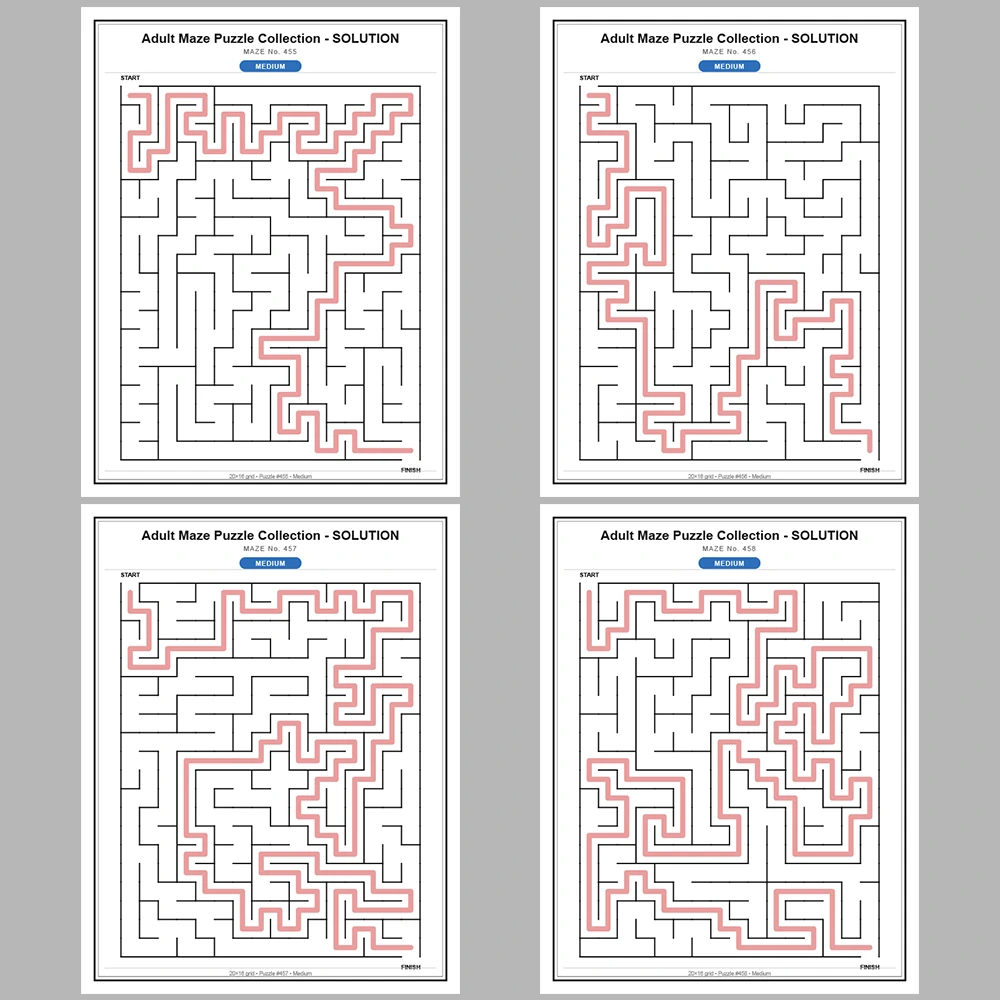 Maze Puzzle Medium 50 Pages of Puzzles – Vol. 10