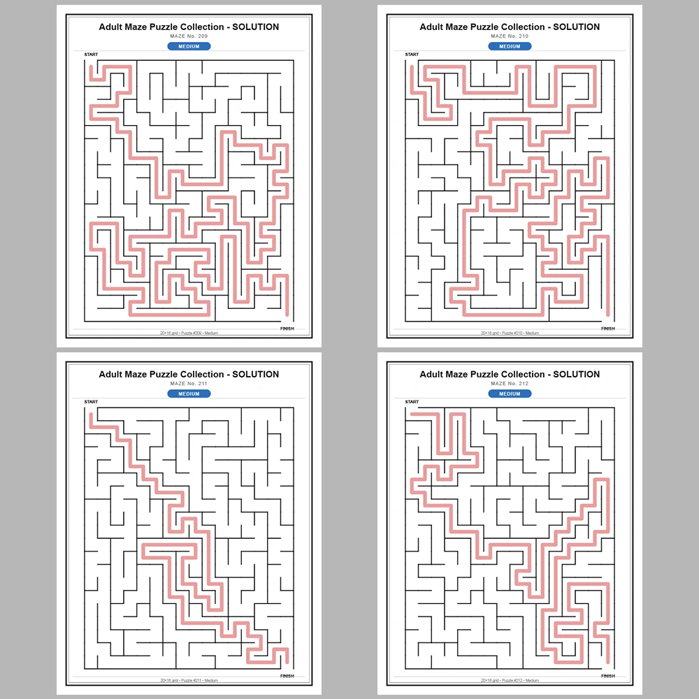 Maze Puzzle Medium 50 Pages of Puzzles – Vol. 5