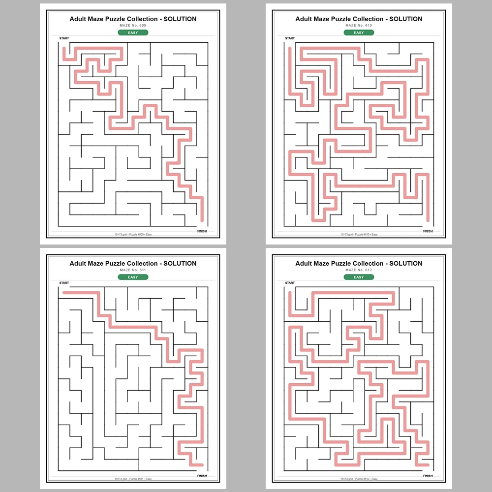 Maze Puzzle Easy 50 Pages of Puzzles – Vol. 13