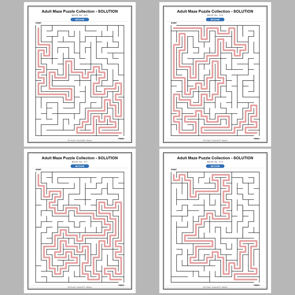 Maze Puzzle Medium 50 Pages of Puzzles – Vol. 11