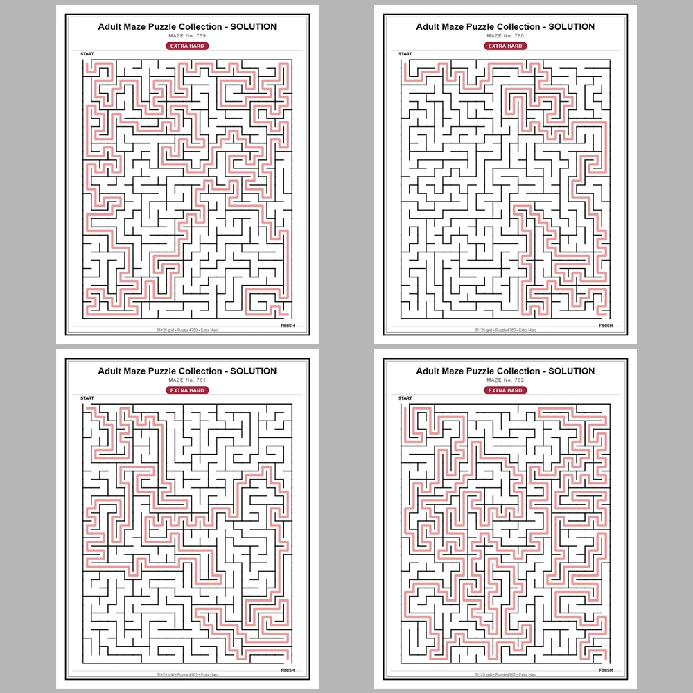 Maze Puzzle Extra Hard 50 Pages of Puzzles – Vol. 16