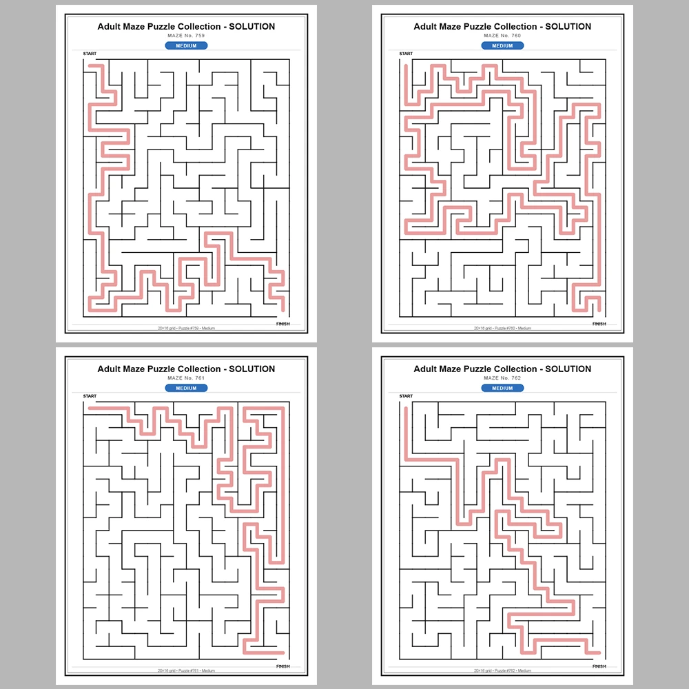 Maze Puzzle Medium 50 Pages of Puzzles – Vol. 16