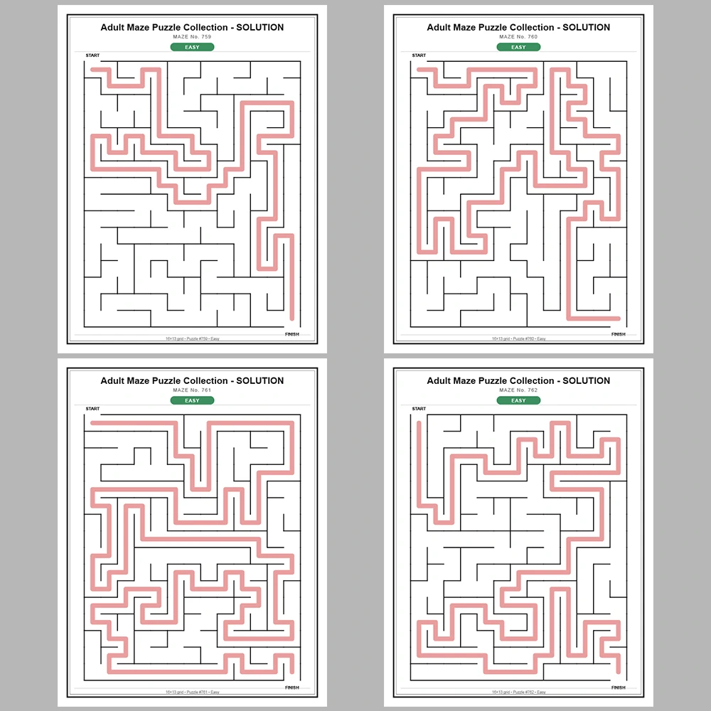 Maze Puzzle Easy 50 Pages of Puzzles – Vol. 16
