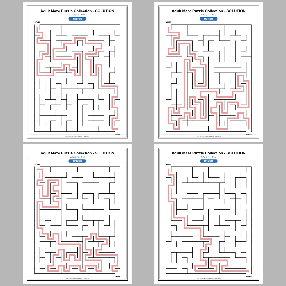 Maze Puzzle Medium 50 Pages of Puzzles – Vol. 19