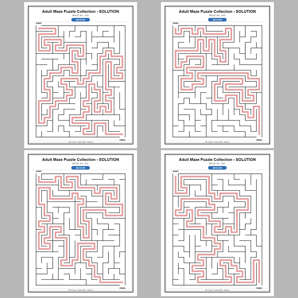 Maze Puzzle Medium 50 Pages of Puzzles – Vol. 12