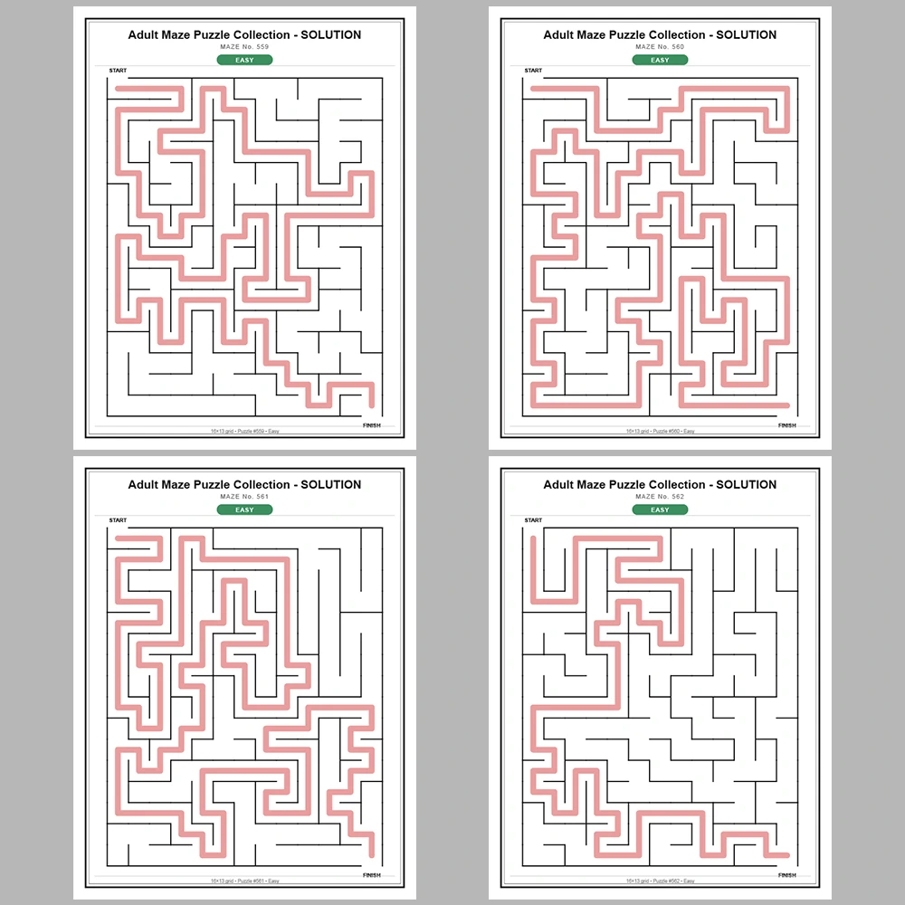 Maze Puzzle Easy 50 Pages of Puzzles – Vol. 12