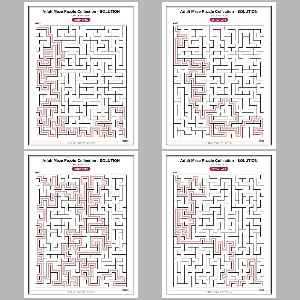 Maze Puzzle Extra Hard 50 Pages of Puzzles – Vol. 17
