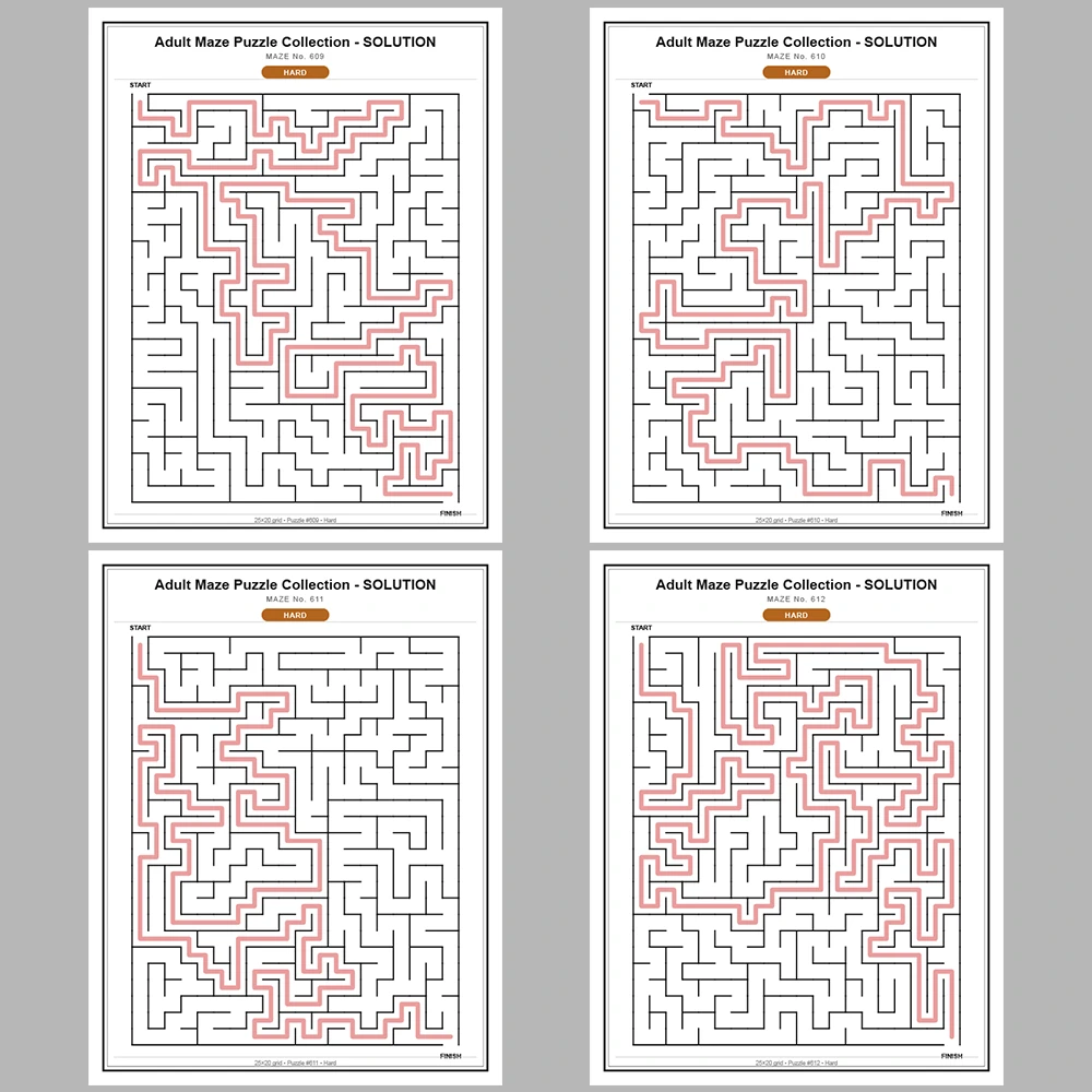 Maze Puzzle Hard 50 Pages of Puzzles – Vol. 13