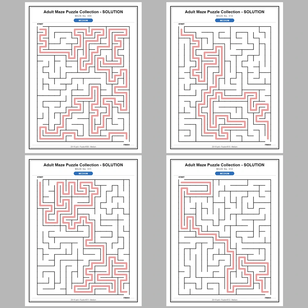 Maze Puzzle Medium 50 Pages of Puzzles – Vol. 7