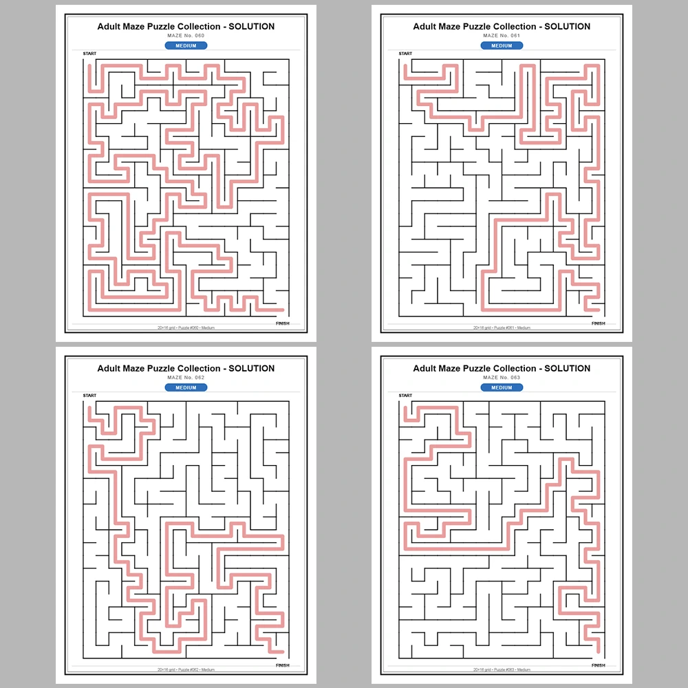 Maze Puzzle Medium 50 Pages of Puzzles – Vol. 2