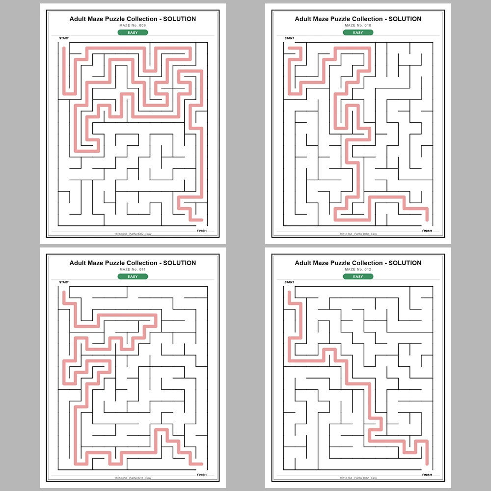 Maze Puzzle Easy 50 Pages of Puzzles – Vol. 3