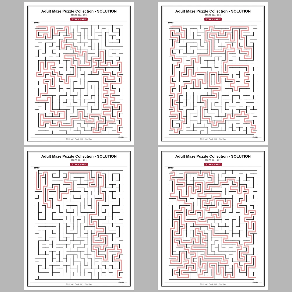 Maze Puzzle Extra Hard 50 Pages of Puzzles – Vol. 10