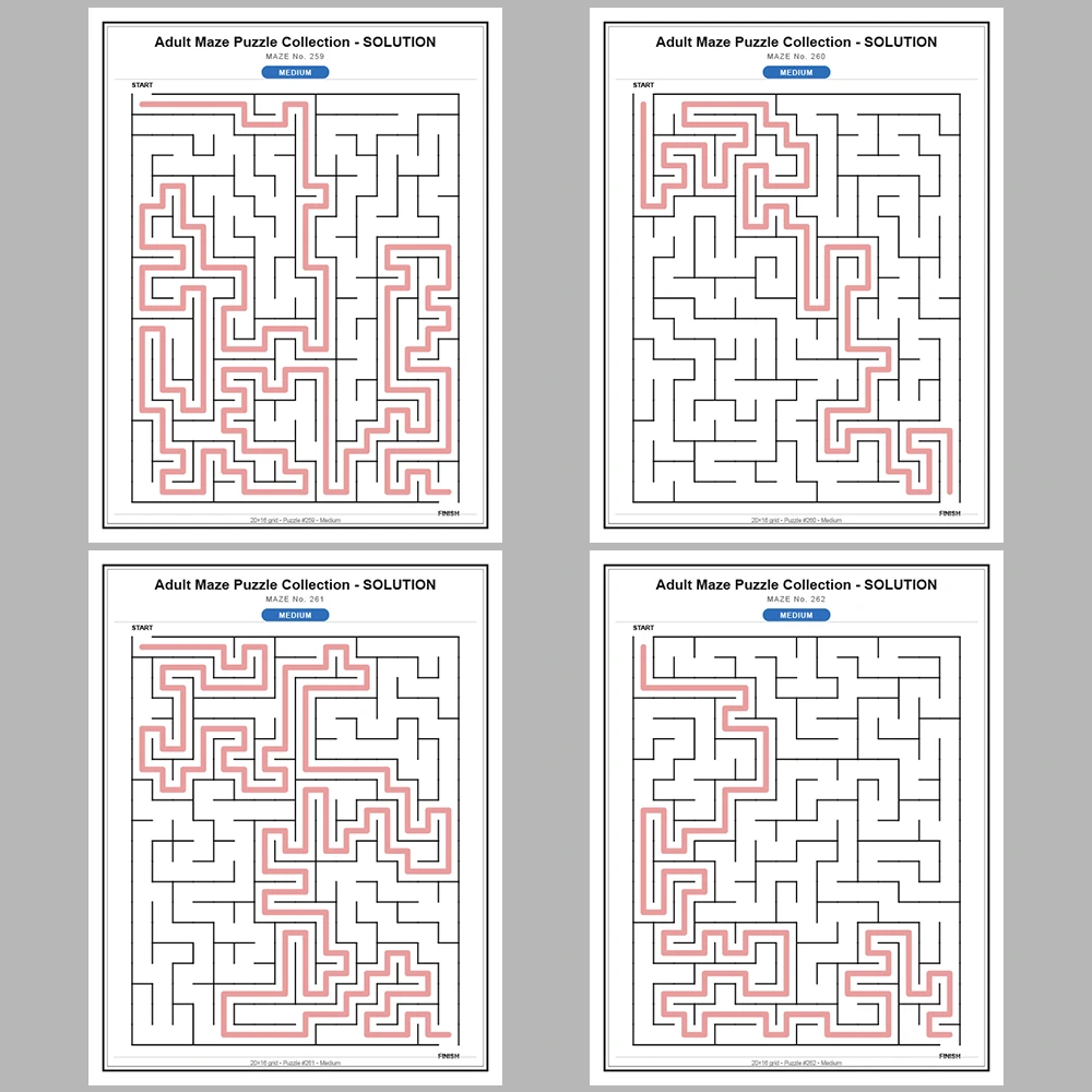 Maze Puzzle Medium 50 Pages of Puzzles – Vol. 6