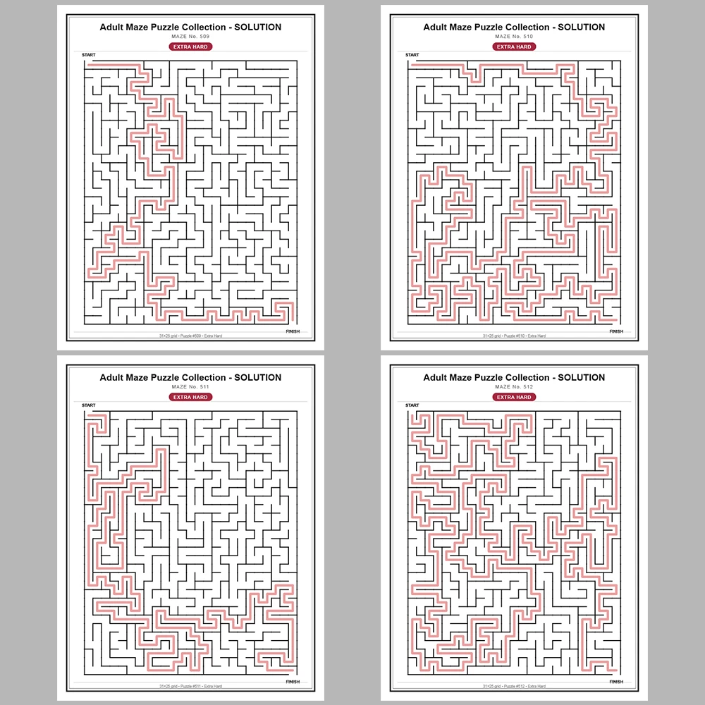 Maze Puzzle Extra Hard 50 Pages of Puzzles – Vol. 11