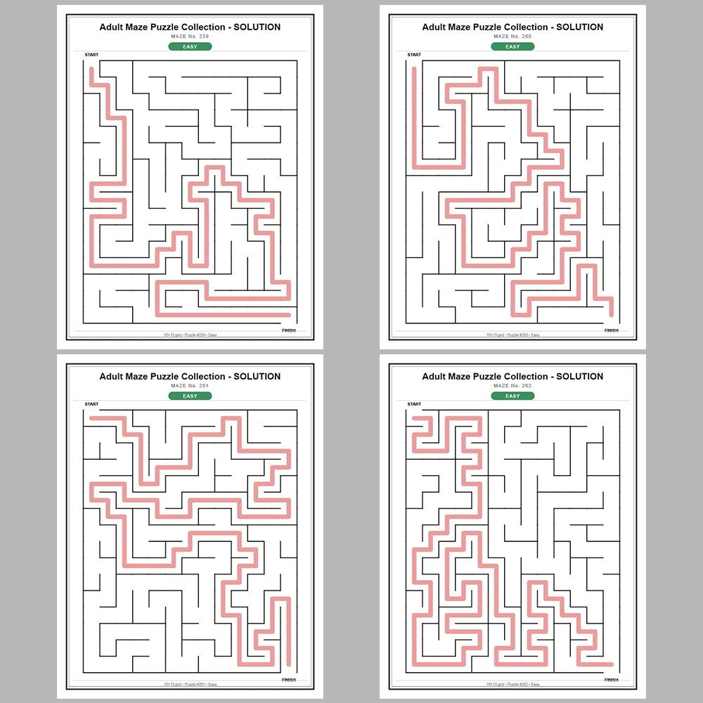 Maze Puzzle Easy 50 Pages of Puzzles – Vol. 6