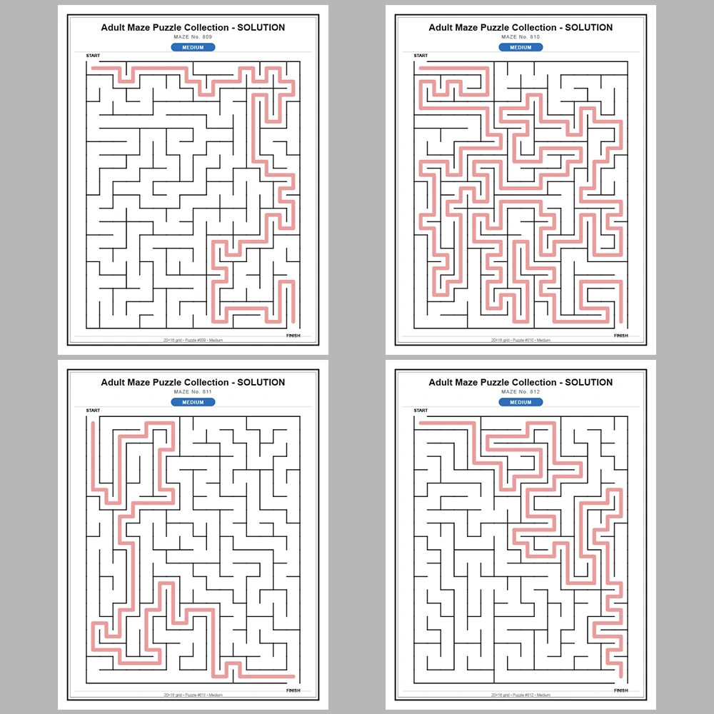 Maze Puzzle Medium 50 Pages of Puzzles – Vol. 17