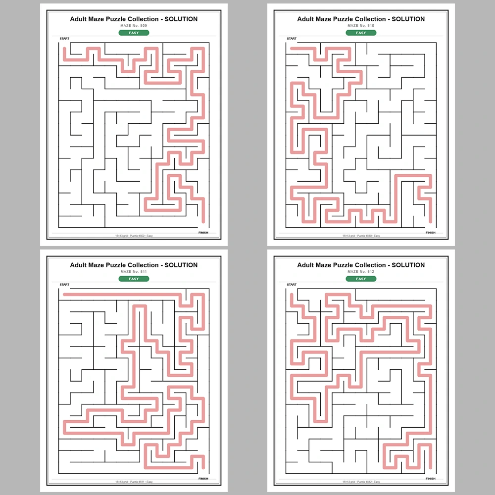 Maze Puzzle Easy 50 Pages of Puzzles – Vol. 17