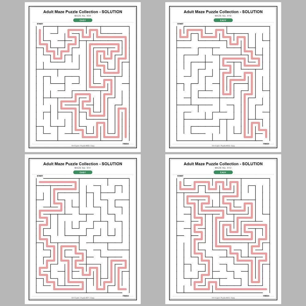 Maze Puzzle Easy 50 Pages of Puzzles – Vol. 19