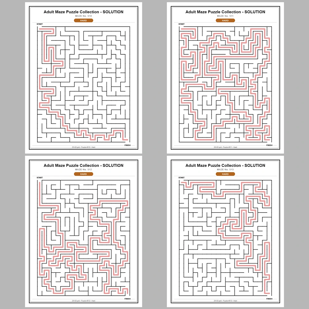 Maze Puzzle Hard 250 Pages of Puzzles – Vol. 3