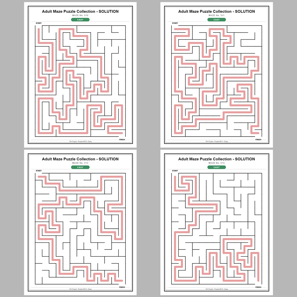 Maze Puzzle Easy 250 Pages of Puzzles – Vol. 3
