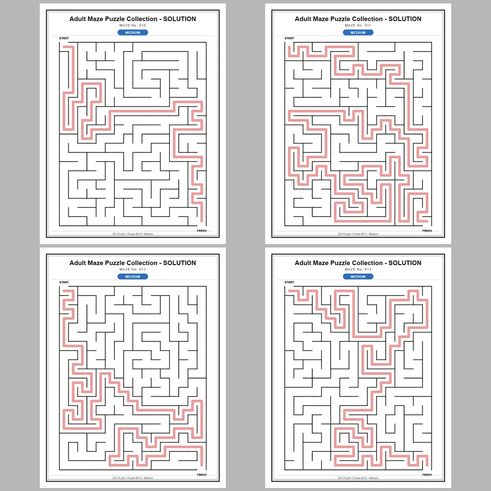 Maze Puzzle Medium 250 Pages of Puzzles – Vol. 1