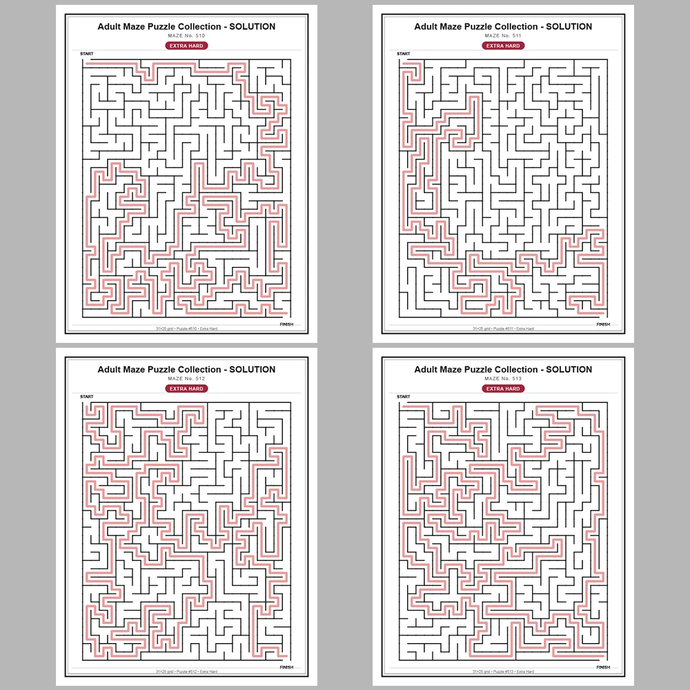 Maze Puzzle Extra Hard 250 Pages of Puzzles – Vol. 3