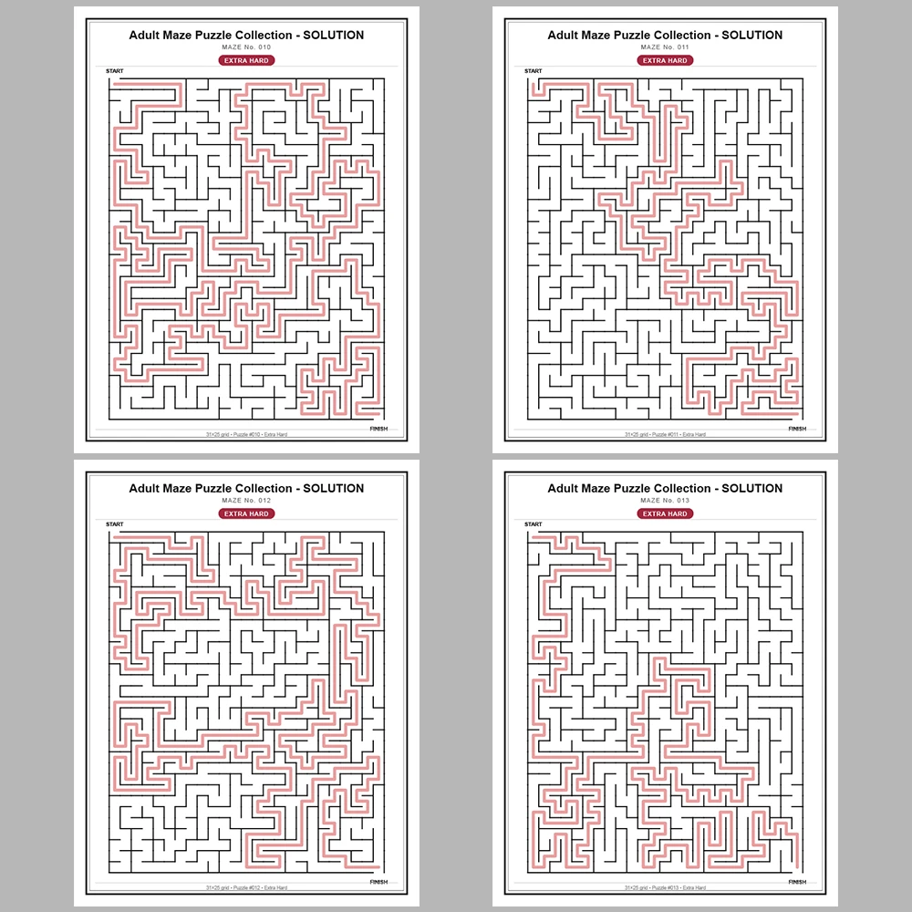 Maze Puzzle Extra Hard 250 Pages of Puzzles – Vol. 1