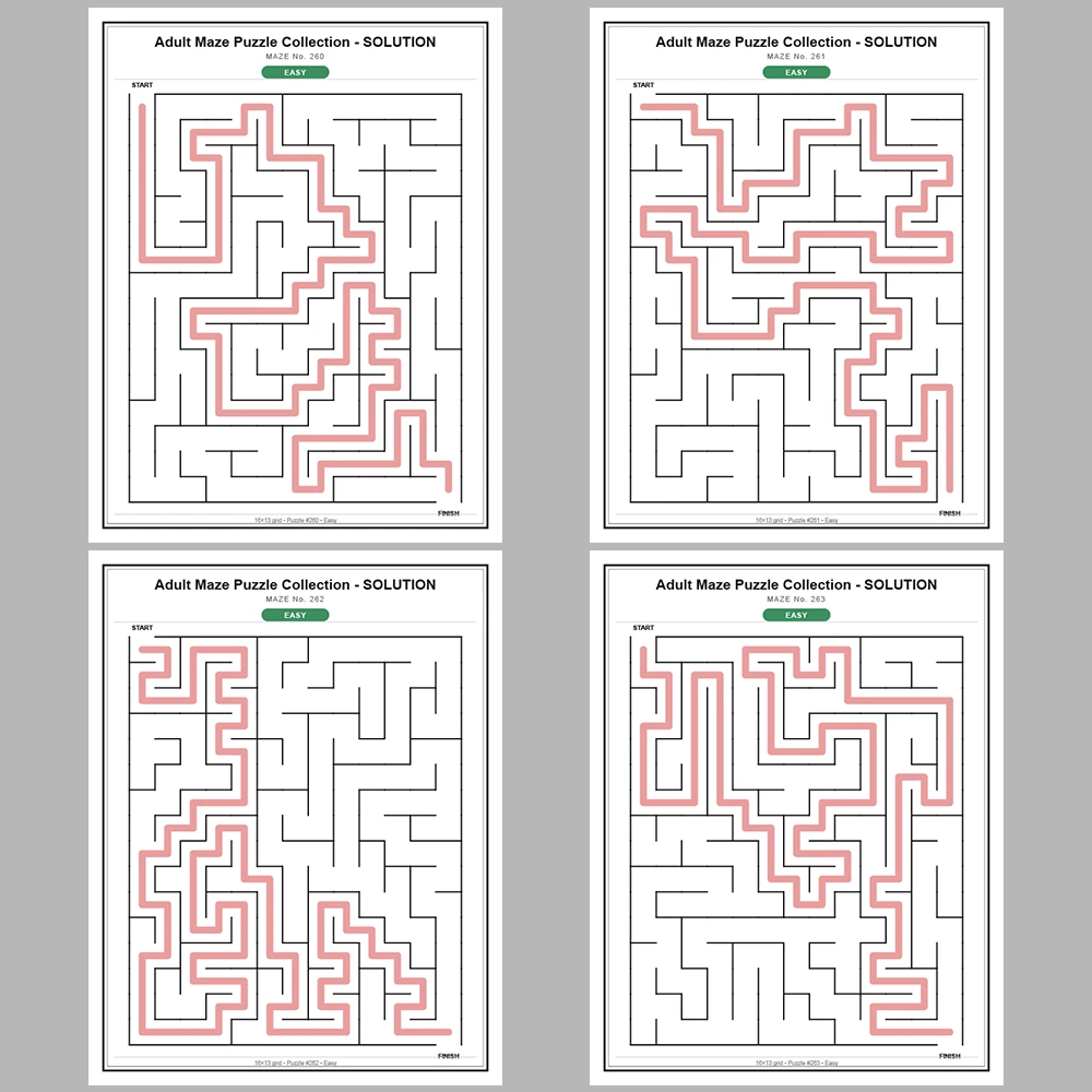Maze Puzzle Easy 250 Pages of Puzzles – Vol. 2