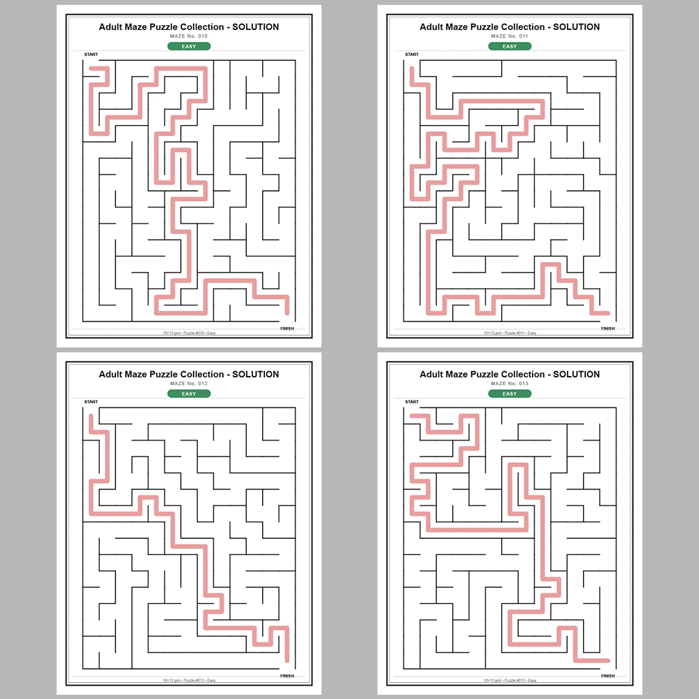 Maze Puzzle Easy 250 Pages of Puzzles – Vol. 1
