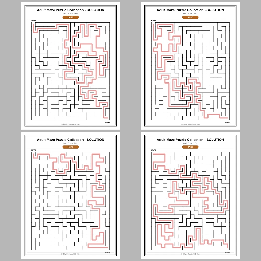 Maze Puzzle Hard 250 Pages of Puzzles – Vol. 2