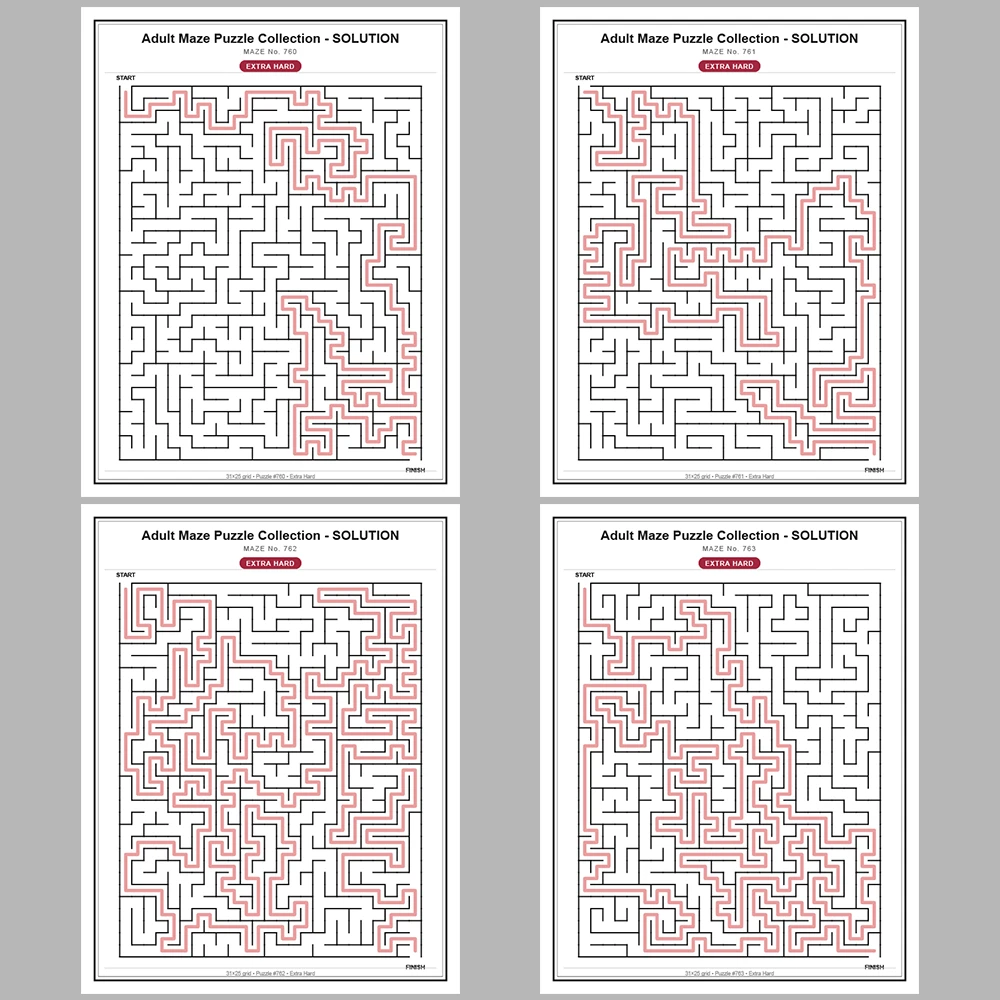 Maze Puzzle Extra Hard 250 Pages of Puzzles – Vol. 4