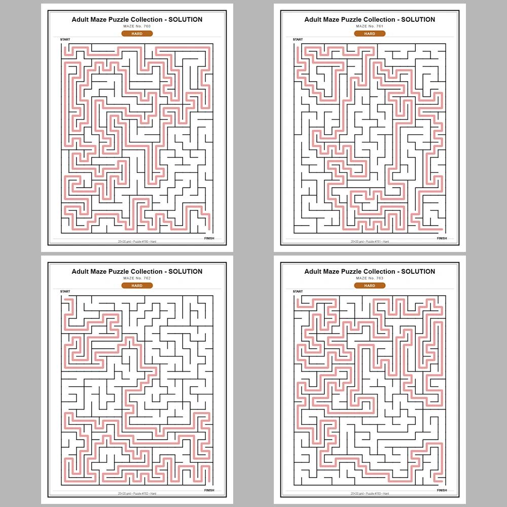Maze Puzzle Hard 250 Pages of Puzzles – Vol. 4