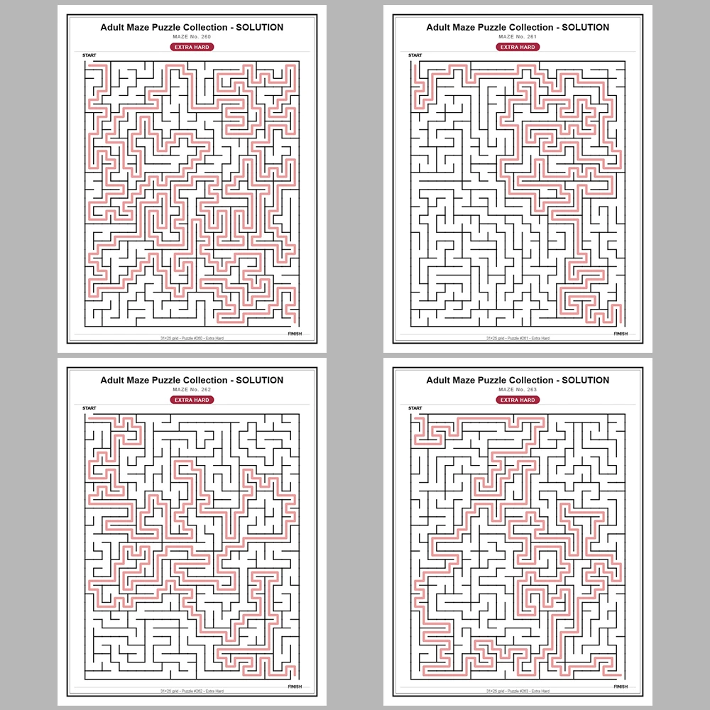 Maze Puzzle Extra Hard 250 Pages of Puzzles – Vol. 2