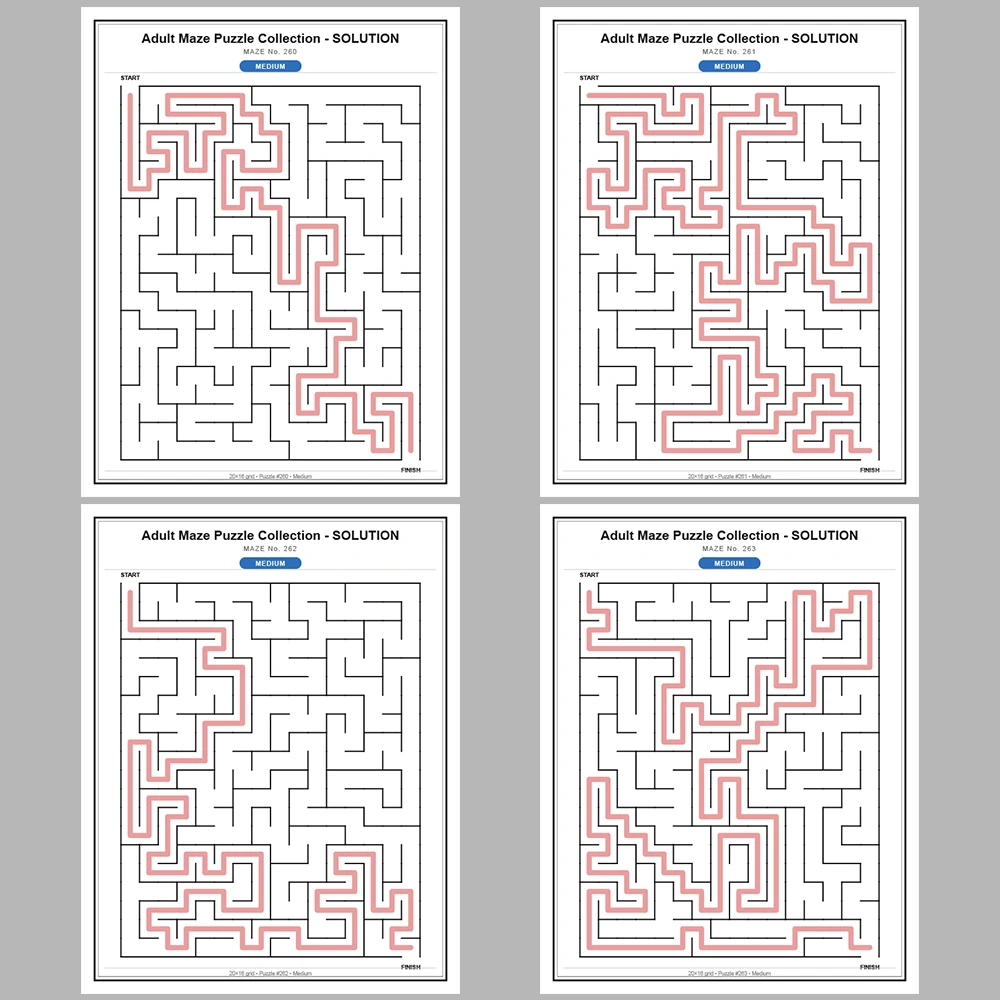 Maze Puzzle Medium 250 Pages of Puzzles – Vol. 2