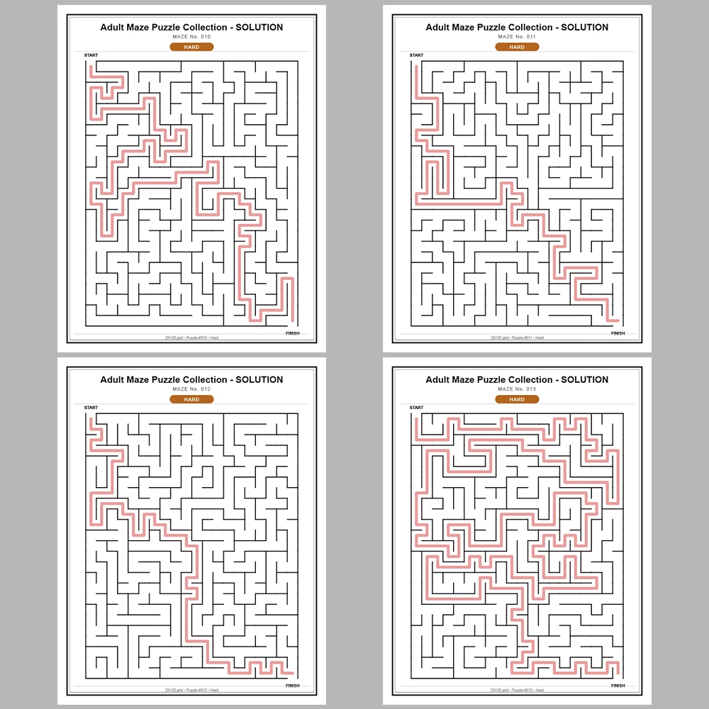 Maze Puzzle Hard 250 Pages of Puzzles – Vol. 1
